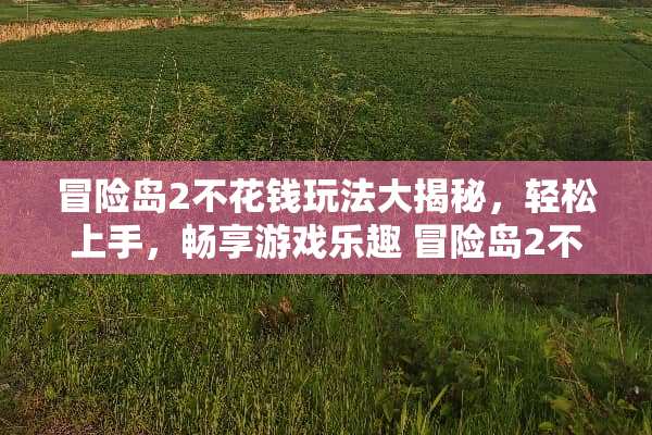 冒险岛2不花钱玩法大揭秘，轻松上手，畅享游戏乐趣 冒险岛2不花钱玩法