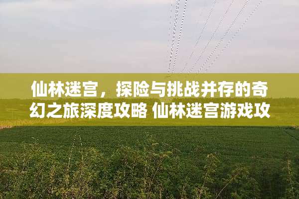 仙林迷宫,探险与挑战并存的奇幻之旅深度攻略 仙林迷宫游戏攻略 仙林迷宫,探险与挑战并存的奇幻之旅深度攻略 仙林迷宫游戏攻略