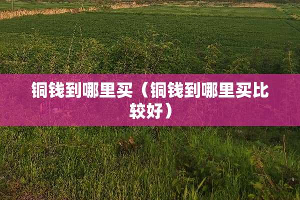 铜钱到哪里买(铜钱到哪里买比较好) 铜钱到哪里买(铜钱到哪里买比较好)