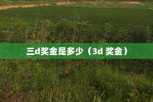 三d奖金是多少（3d 奖金）