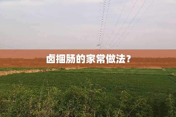 卤捆肠的家常做法？