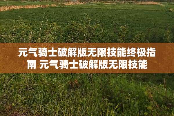 元气骑士**版无限技能终极指南 元气骑士**版无限技能