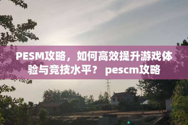 PESM攻略,如何高效提升游戏体验与竞技水平? pescm攻略 PESM攻略,如何高效提升游戏体验与竞技水平? pescm攻略