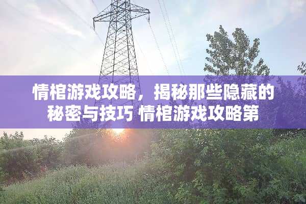 情棺游戏攻略,揭秘那些隐藏的秘密与技巧 情棺游戏攻略第 情棺游戏攻略,揭秘那些隐藏的秘密与技巧 情棺游戏攻略第