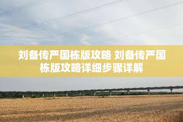 刘备传严国栋版攻略 刘备传严国栋版攻略详细步骤详解