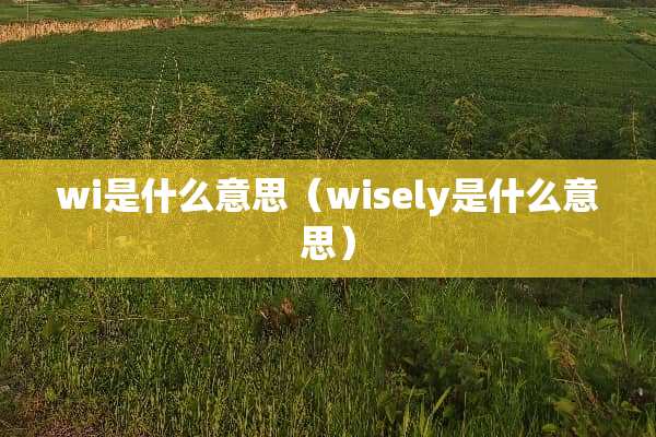 wi是什么意思（wisely是什么意思）