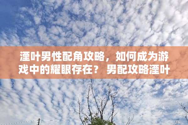 湮叶男性配角攻略,如何成为游戏中的耀眼存在? 男配攻略湮叶 湮叶男性配角攻略,如何成为游戏中的耀眼存在? 男配攻略湮叶