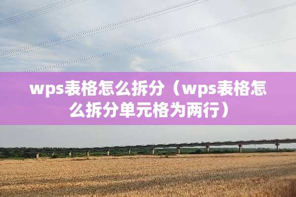 wps表格怎么拆分(wps表格怎么拆分单元格为两行) wps表格怎么拆分(wps表格怎么拆分单元格为两行)