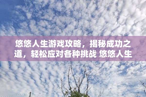 悠悠人生游戏攻略，揭秘成功之道，轻松应对各种挑战 悠悠人生游戏套路攻略