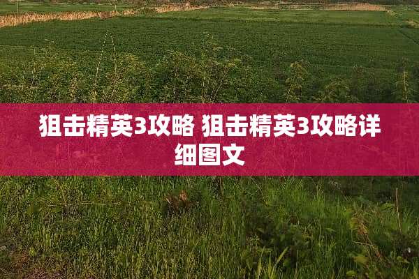 **精英3攻略**精英3攻略详细图文 **精英3攻略**精英3攻略详细图文