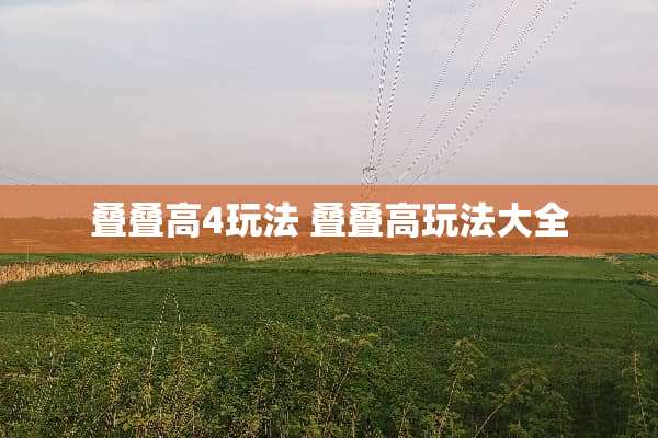 叠叠高4玩法 叠叠高玩法大全 叠叠高4玩法 叠叠高玩法大全