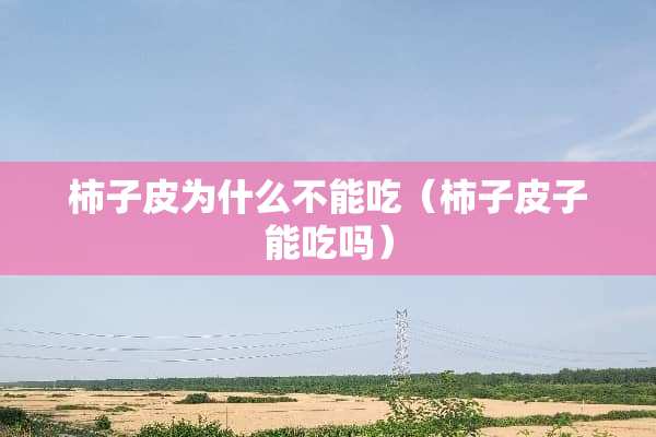 柿子皮为什么不能吃（柿子皮子能吃吗）