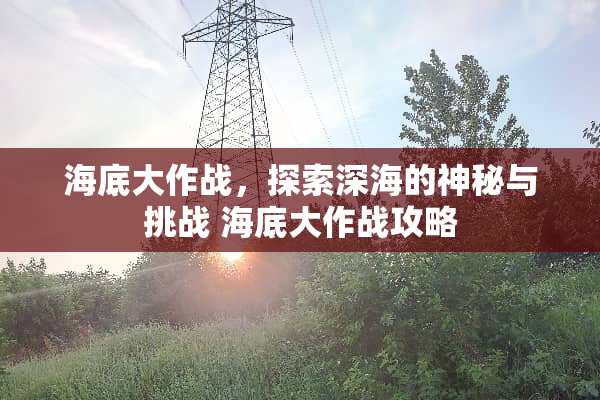 海底大作战，探索深海的神秘与挑战 海底大作战攻略