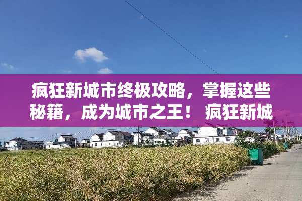 疯狂新城市终极攻略,掌握这些秘籍,成为城市之王! 疯狂新城市攻略游戏 疯狂新城市终极攻略,掌握这些秘籍,成为城市之王! 疯狂新城市攻略游戏