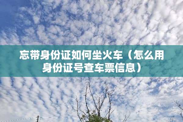忘带***如何坐火车(怎么用***号查车票信息) 忘带***如何坐火车(怎么用***号查车票信息)