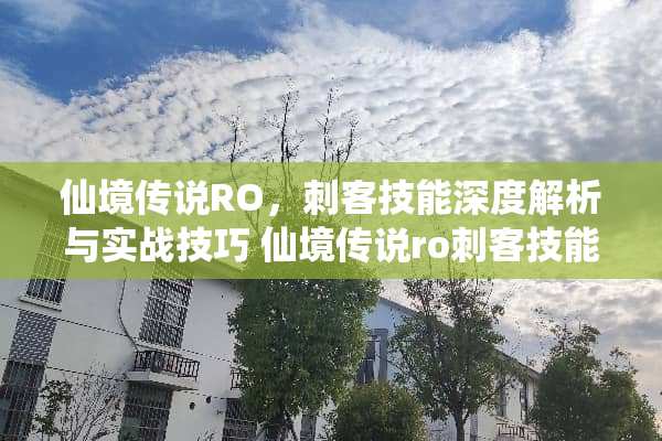 仙境传说RO,刺客技能深度解析与实战技巧 仙境传说ro刺客技能 仙境传说RO,刺客技能深度解析与实战技巧 仙境传说ro刺客技能