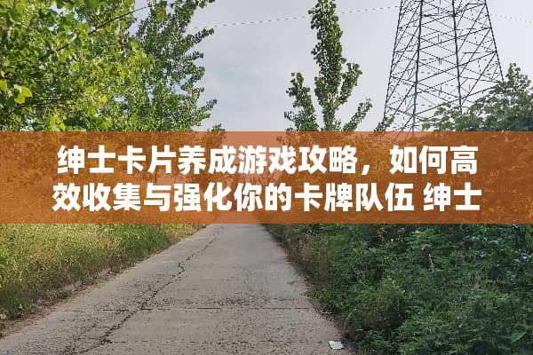 绅士卡片养成游戏攻略，如何高效收集与强化你的卡牌队伍 绅士卡片养成游戏攻略