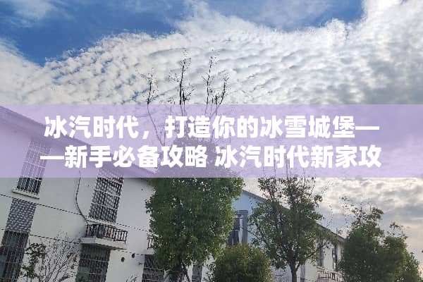 冰汽时代，打造你的冰雪城堡——新手必备攻略 冰汽时代新家攻略