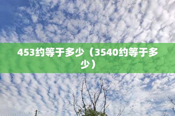 453约等于多少(3540约等于多少) 453约等于多少(3540约等于多少)
