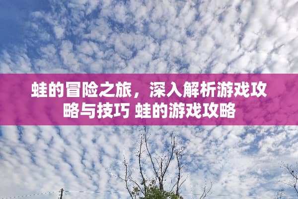 蛙的冒险之旅，深入解析游戏攻略与技巧 蛙的游戏攻略