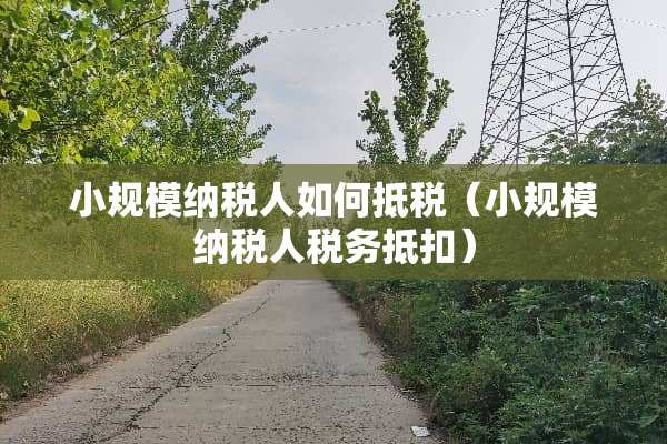 小规模纳税人如何抵税（小规模纳税人税务抵扣）