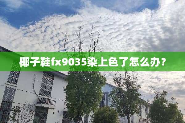 椰子鞋fx9035染上色了怎么办？