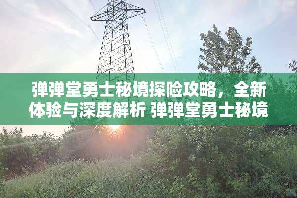 弹弹堂勇士秘境探险攻略,全新体验与深度解析 弹弹堂勇士秘境攻略