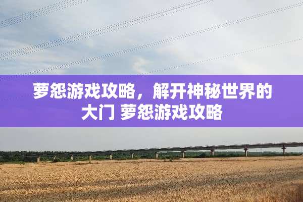 萝怨游戏攻略,解开神秘世界的大门 萝怨游戏攻略