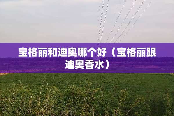 宝格丽和迪奥哪个好(宝格丽跟迪奥香水) 宝格丽和迪奥哪个好(宝格丽跟迪奥香水)
