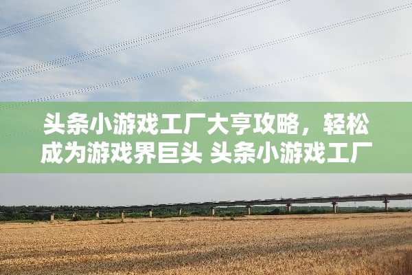 头条小游戏工厂大亨攻略,轻松成为游戏界巨头 头条小游戏工厂大亨攻略 头条小游戏工厂大亨攻略,轻松成为游戏界巨头 头条小游戏工厂大亨攻略