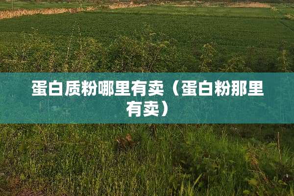 蛋白质粉哪里有卖(蛋**那里有卖) 蛋白质粉哪里有卖(蛋**那里有卖)