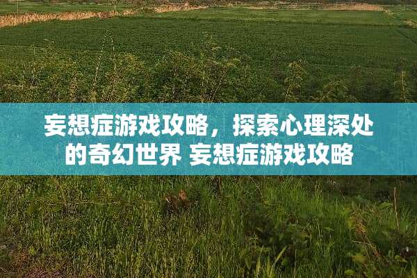 妄想症游戏攻略,探索心理深处的奇幻世界 妄想症游戏攻略 妄想症游戏攻略,探索心理深处的奇幻世界 妄想症游戏攻略