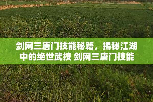 剑网三唐门技能秘籍,揭秘江湖中的绝世武技 剑网三唐门技能 剑网三唐门技能秘籍,揭秘江湖中的绝世武技 剑网三唐门技能