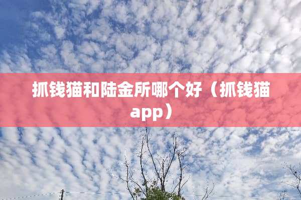 抓钱猫和陆金所哪个好(抓钱猫app) 抓钱猫和陆金所哪个好(抓钱猫app)