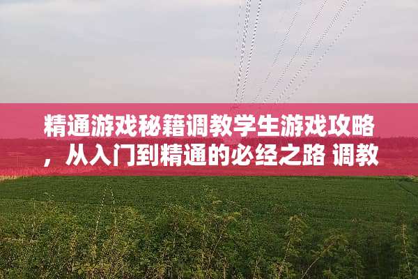 精通游戏秘籍**学生游戏攻略,从入门到精通的必经之路**我的学生游戏攻略 精通游戏秘籍**学生游戏攻略,从入门到精通的必经之路**我的学生游戏攻略