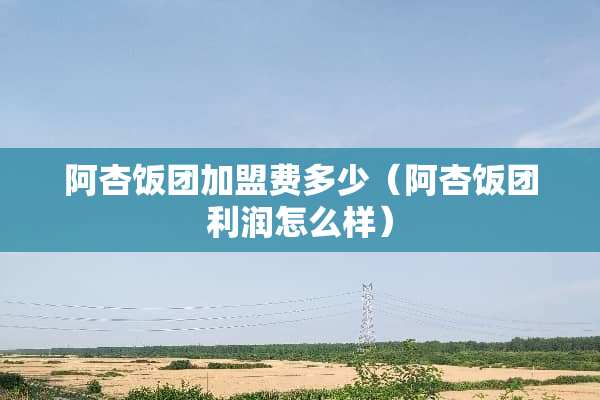 阿杏饭团加盟费多少(阿杏饭团利润怎么样) 阿杏饭团加盟费多少(阿杏饭团利润怎么样)