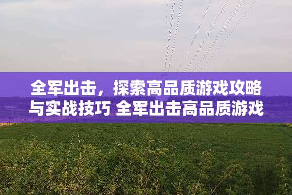 全军出击，探索高品质游戏攻略与实战技巧 全军出击高品质游戏攻略