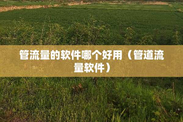管流量的软件哪个好用(管道流量软件)