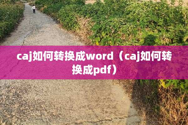 caj如何转换成word(caj如何转换成pdf) caj如何转换成word(caj如何转换成pdf)