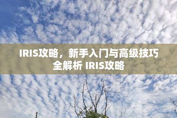 IRIS攻略,新手入门与高级技巧全解析 IRIS攻略 IRIS攻略,新手入门与高级技巧全解析 IRIS攻略
