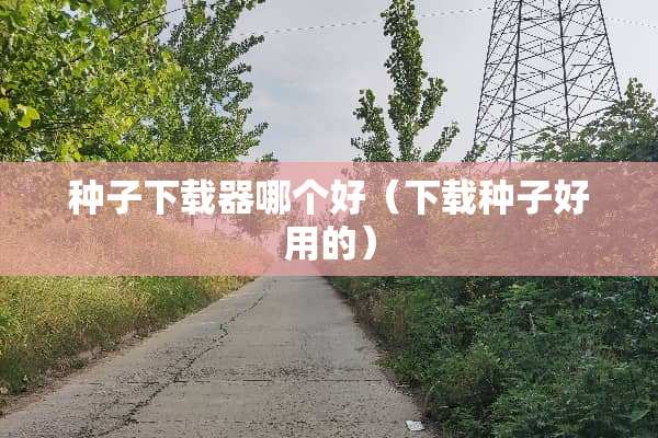 种子下载器哪个好（下载种子好用的）