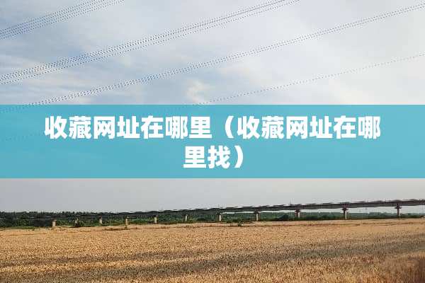 收藏网址在哪里（收藏网址在***）