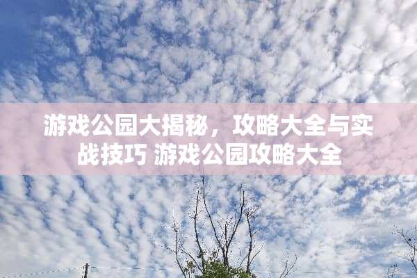 游戏公园大揭秘，攻略大全与实战技巧 游戏公园攻略大全