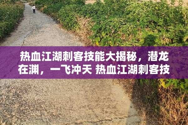 热血江湖刺客技能大揭秘，潜龙在渊，一飞冲天 热血江湖刺客技能展示