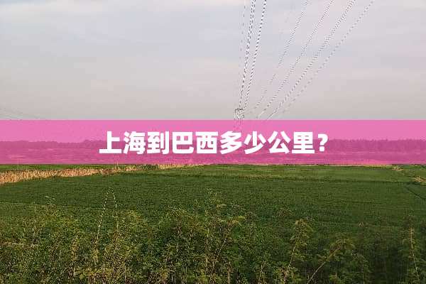 上海到巴西多少公里？