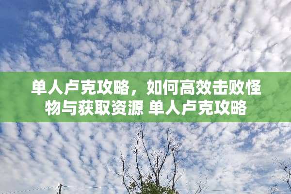 单人卢克攻略,如何高效击败怪物与获取资源 单人卢克攻略