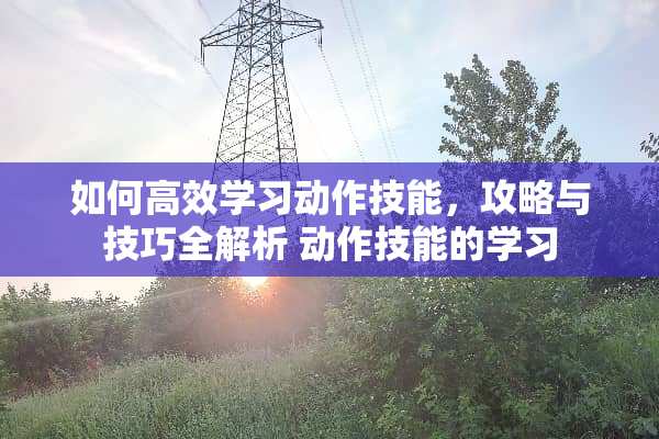 如何高效学习动作技能,攻略与技巧全解析 动作技能的学习 如何高效学习动作技能,攻略与技巧全解析 动作技能的学习