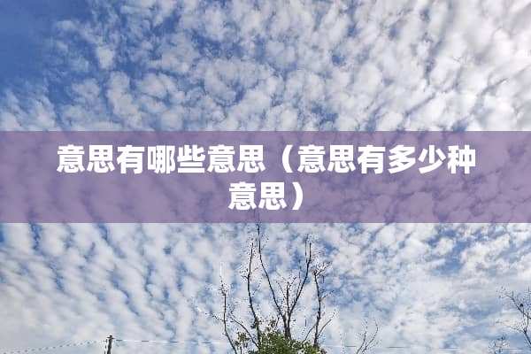 意思有哪些意思(意思有多少种意思) 意思有哪些意思(意思有多少种意思)