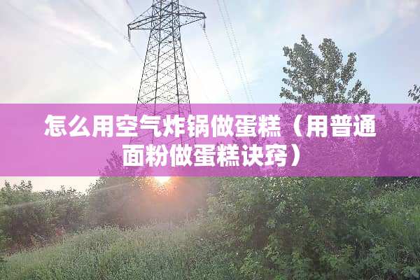 怎么用空气炸锅做蛋糕（用普通面粉做蛋糕诀窍）