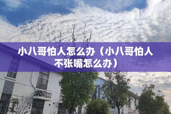 小八哥怕人怎么办(小八哥怕人不张嘴怎么办) 小八哥怕人怎么办(小八哥怕人不张嘴怎么办)